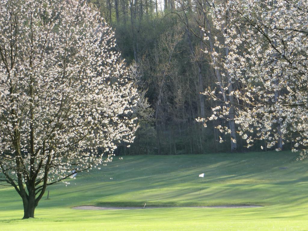 Golf & Hotel De Falnuee Mazy Exteriér fotografie